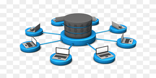 https://edutecbd.com/Database & Automation System (Server-Side)